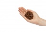 Mera Vital Cat Gastro Intestinal